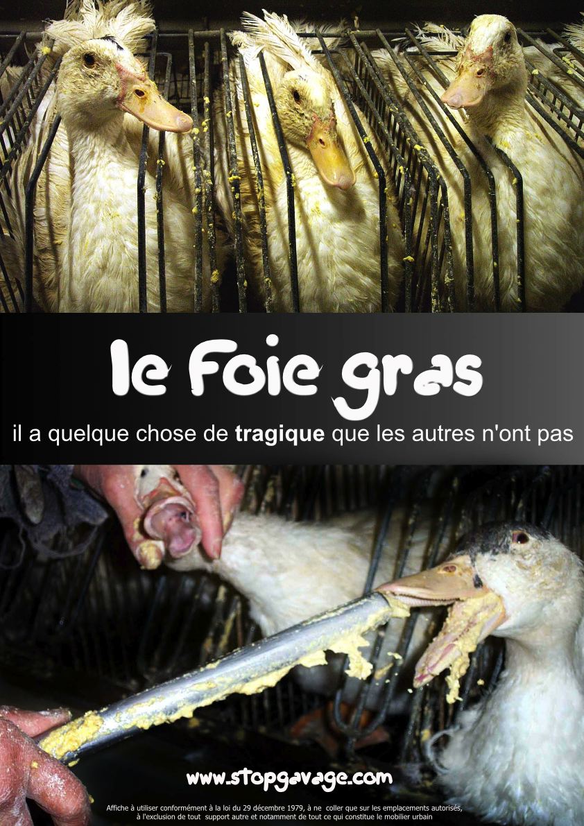 http://www.al-kanz.org/wp-content/uploads/2007/11/foie_gras_pmaf2.jpg