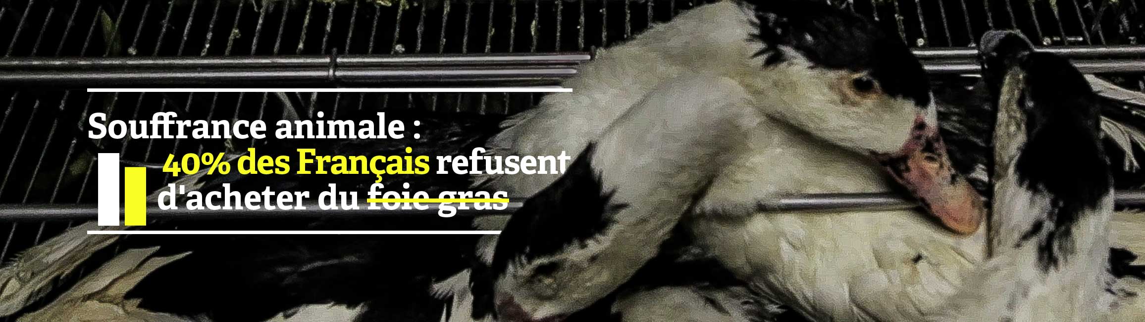 stop gavage sondage français