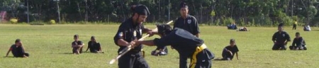 Pencak Silat
