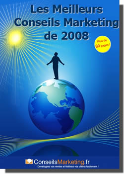 téléchargez l'ebook gratuit sur les meilleurs conseils marketing de l'année 2008