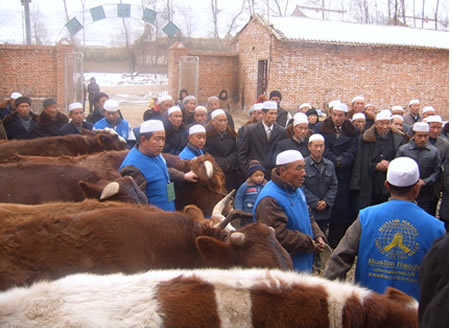 Aïd al-Adha en Chine Muslim Hands