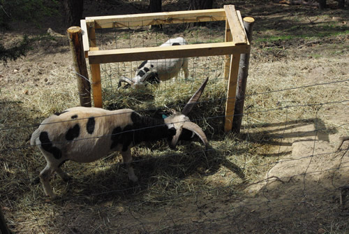 fermes pédagogiques