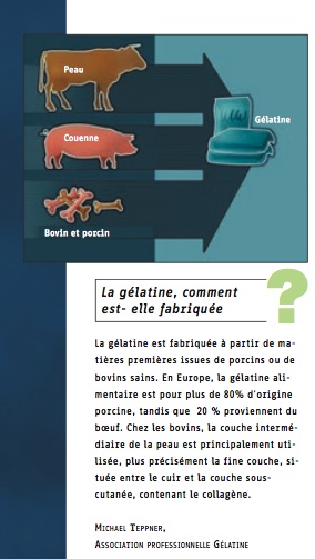 gélatine porcine