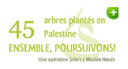 Oliviers en Palestine