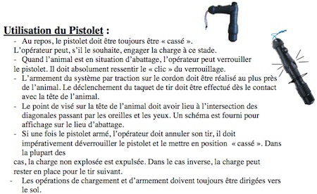 Pistolet d'abattage