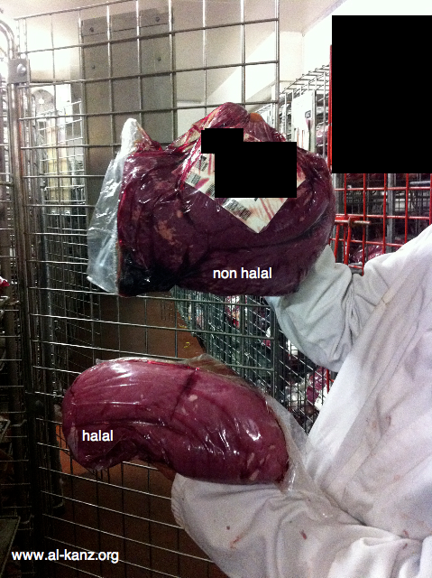 halal non halal
