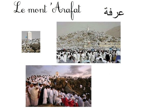 Aïd al-Adha : bricole ton mouton