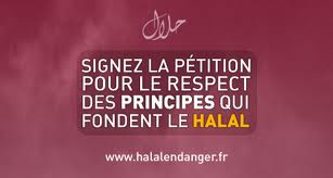 halal en danger, hallal viande