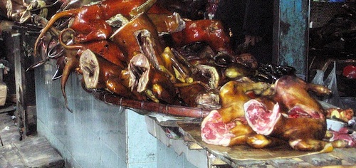 Viande halal :