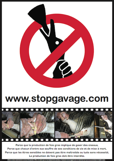 Stop gavage