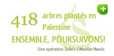 Oliviers en Palestine