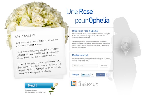 DSK rose