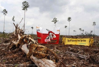 KFC no Good : Greenpeace France silencieuse, ailleurs on bouge