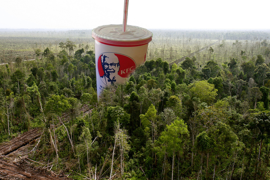 KFC no Good : la mobilisation continue, Greenpeace France silencieuse