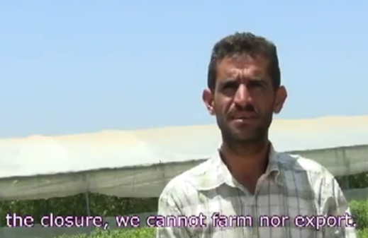 agriculteur palestinien