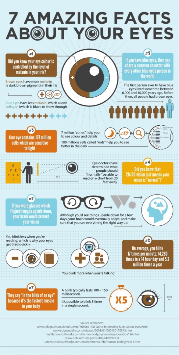 Infographie : le miracle de l'oeil