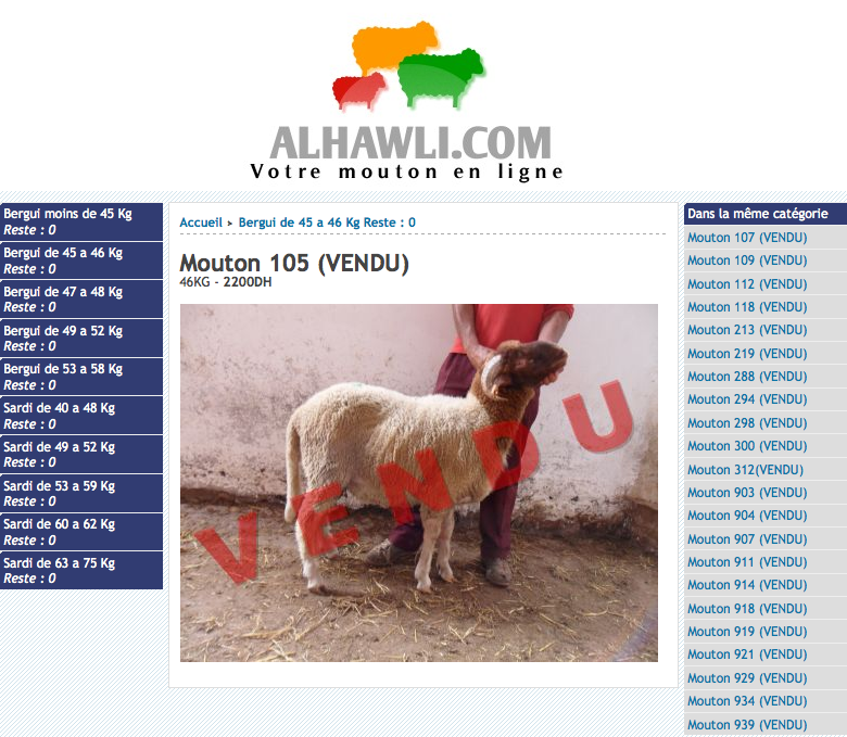 Mouton sur Internet