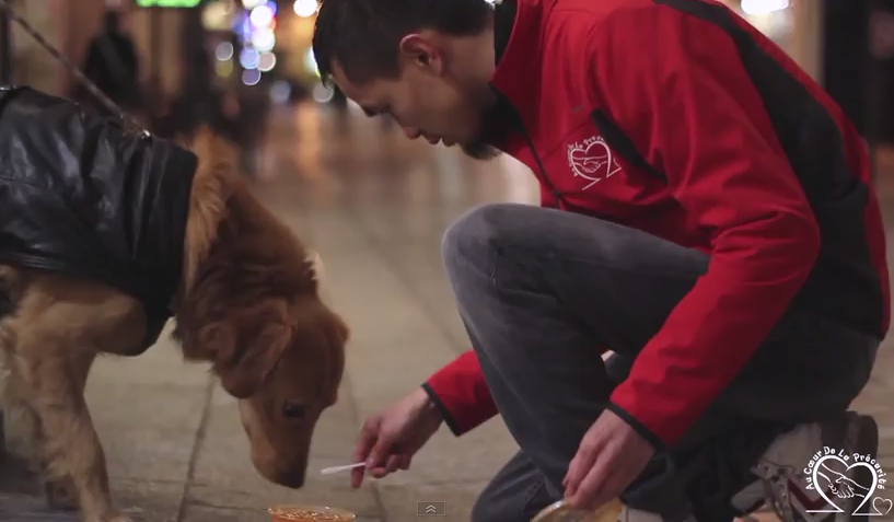 Un bénévole d'Adclp nourrit un chien dans la rue