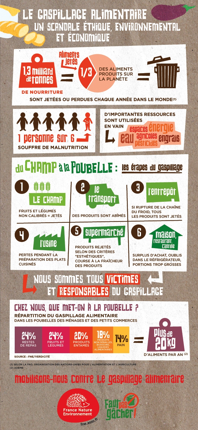 gaspillage-alimentaire-infographie-fne