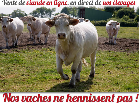 Terre de viande