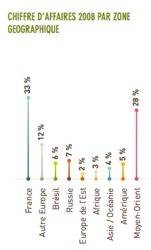 rapport annuel financier doux 2008