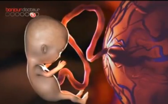 foetus alcool grossesse