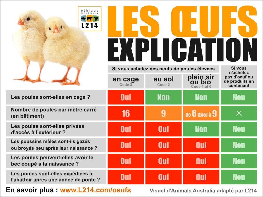 tableau-comparatif-oeufs-fonction-du-mode-d-elevage-900px