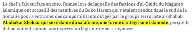 metro boko haram salafiste