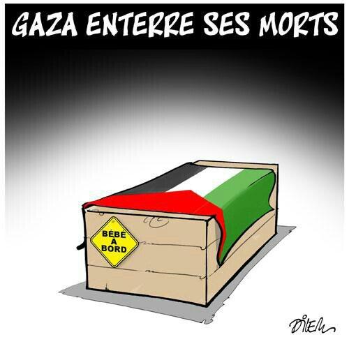 dilem gaza