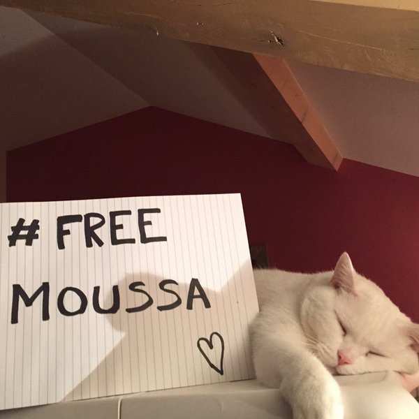 moussa barakacity free moussa