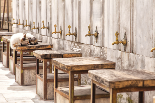 chat ablutions