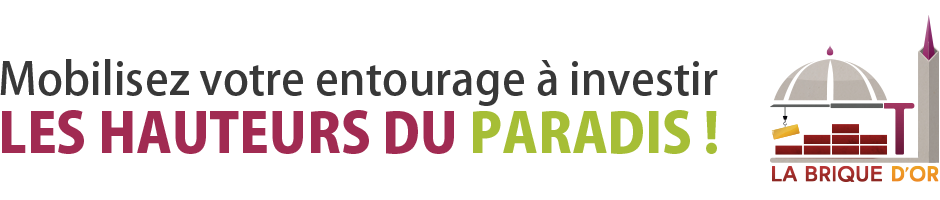 brique d or