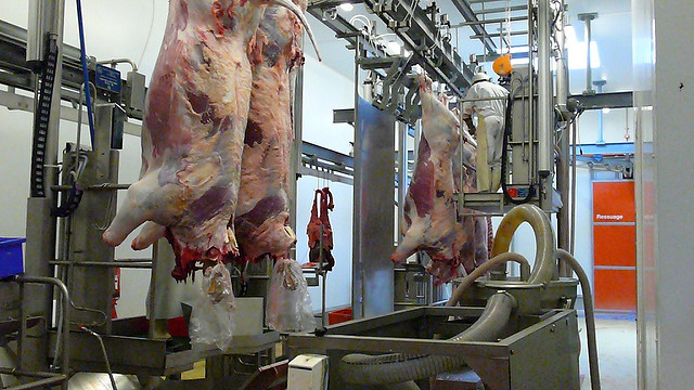 abattoir l214