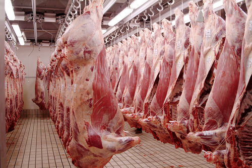 L'abattoir d'Albany, à l'Î.-P.-É., produit du boeuf halal