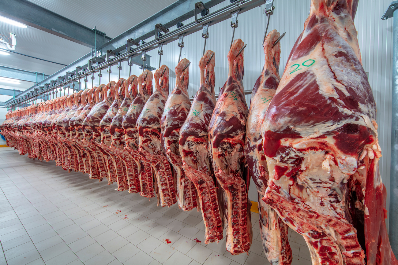 Viande halal