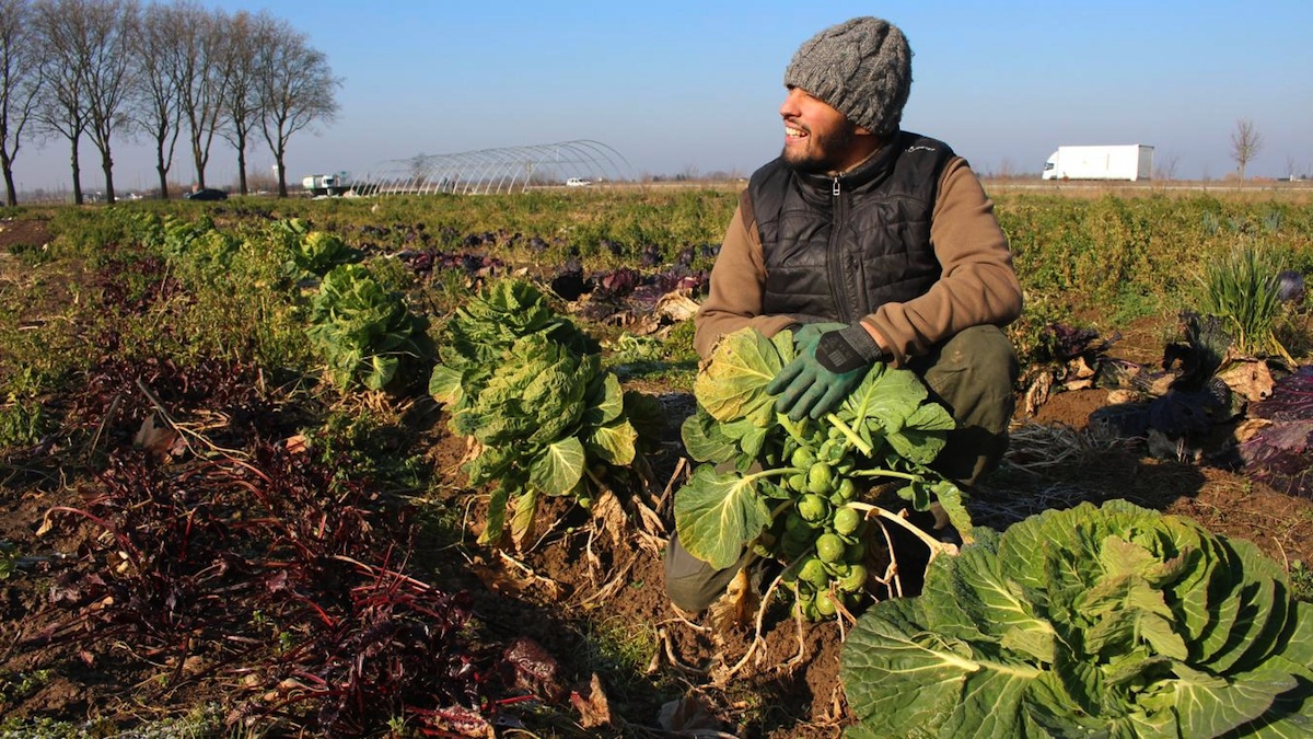 Philippe Bada - Ryad le jardinier