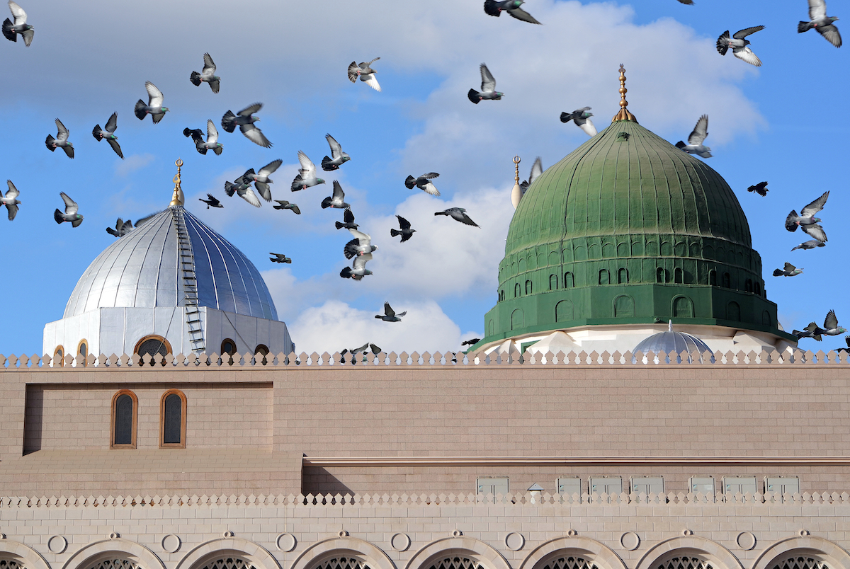 mosquée du Prophète ﷺ à Médine, Arabie saoudite al adha