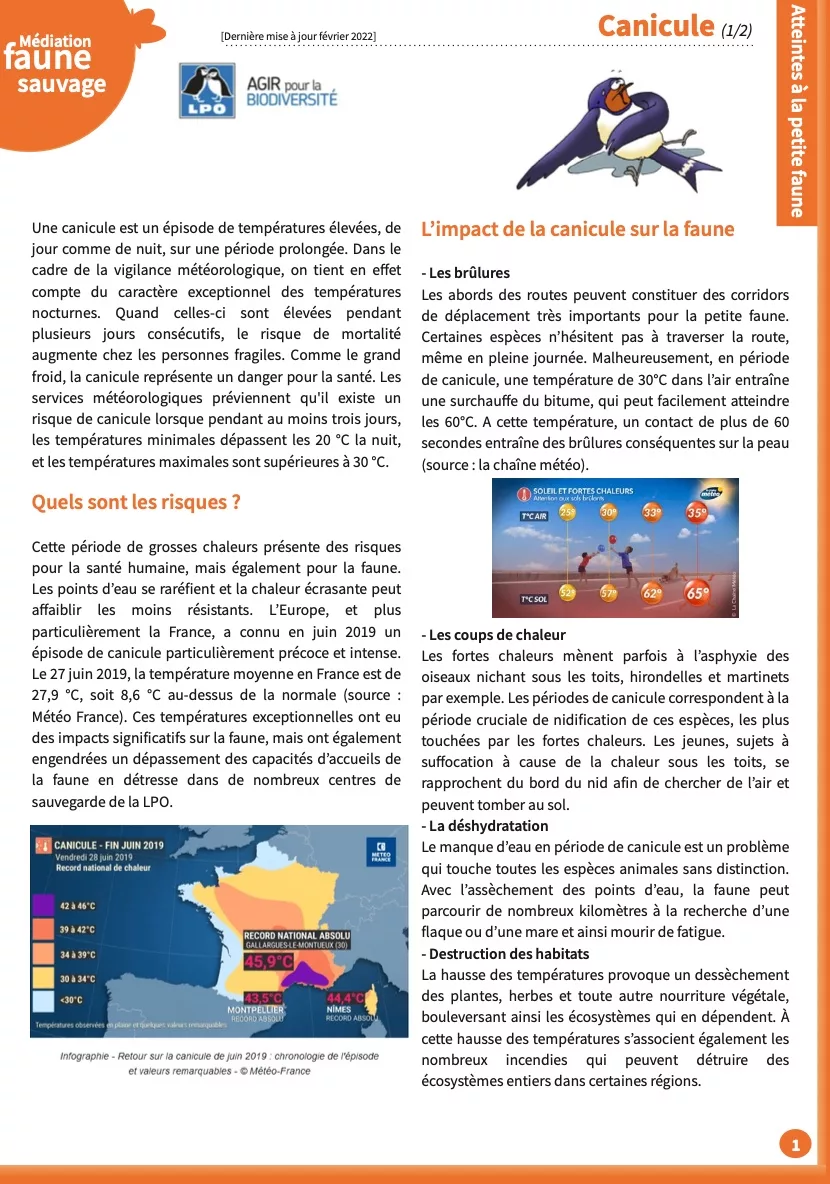 Ligue pour la protection des oiseaux (LPO, livret canicule