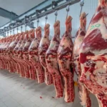 viande industrie halal