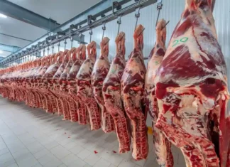 viande industrie halal